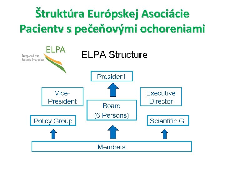 Štruktúra Európskej Asociácie Pacientv s pečeňovými ochoreniami 