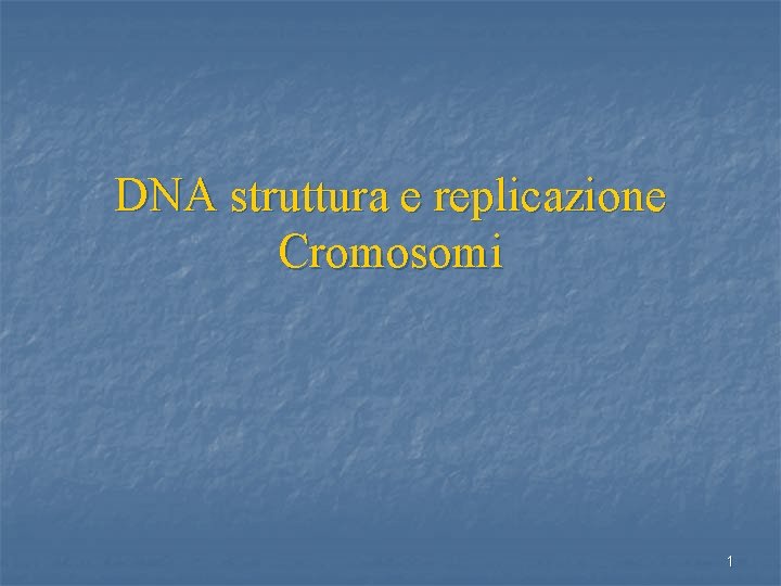 DNA struttura e replicazione Cromosomi 1 