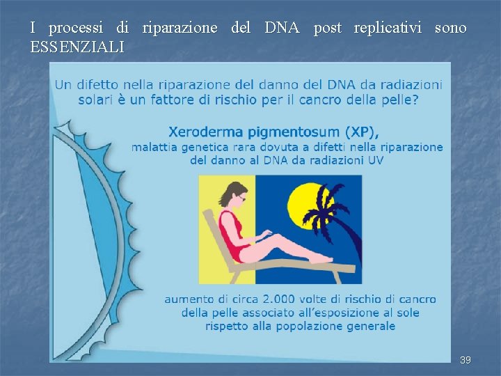 I processi di riparazione del DNA post replicativi sono ESSENZIALI 39 