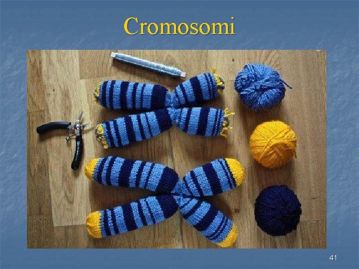 Cromosomi 41 