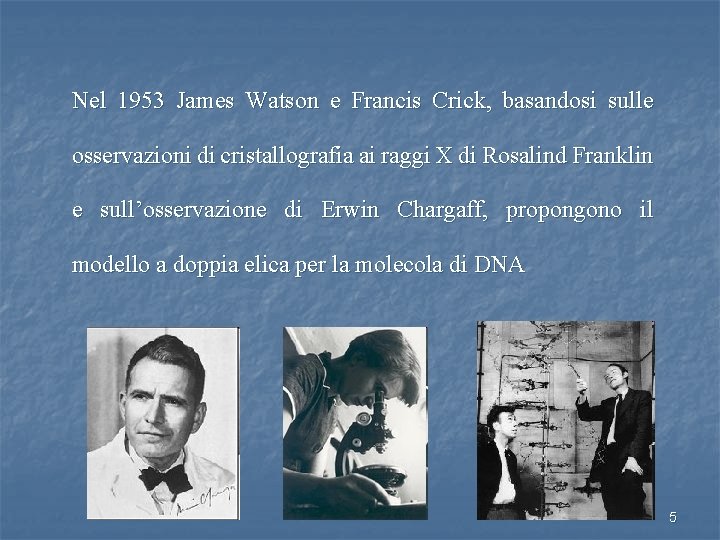 Nel 1953 James Watson e Francis Crick, basandosi sulle osservazioni di cristallografia ai raggi