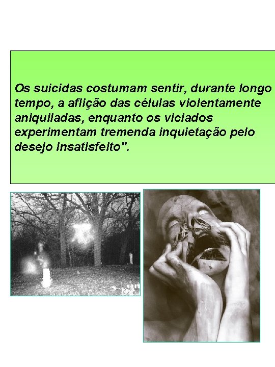 Os suicidas costumam sentir, durante longo tempo, a aflição das células violentamente aniquiladas, enquanto