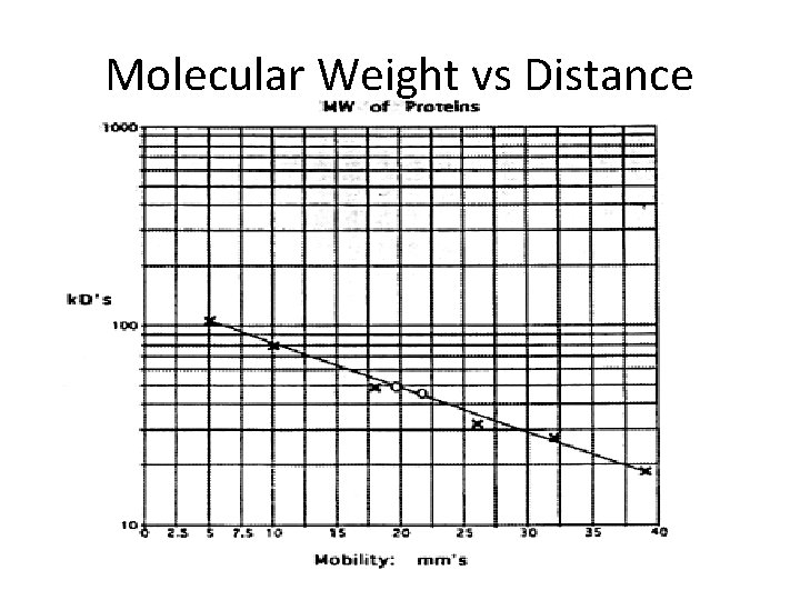 Molecular Weight vs Distance 