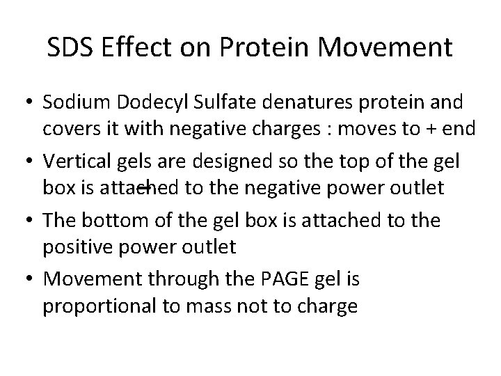 SDS Effect on Protein Movement • Sodium Dodecyl Sulfate denatures protein and covers it