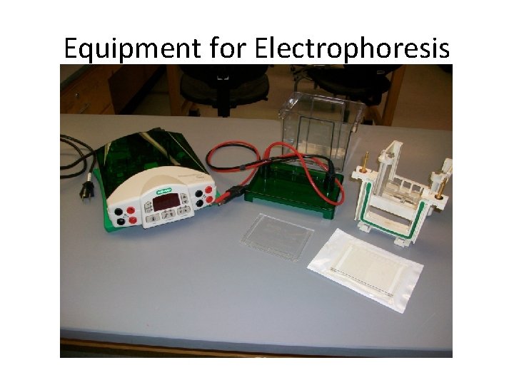Equipment for Electrophoresis 