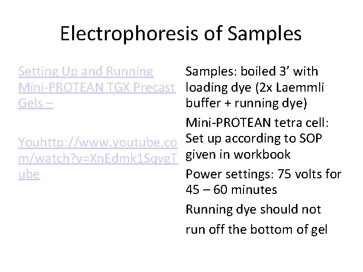 Electrophoresis of Samples Setting Up and Running Samples: boiled 3’ with Mini-PROTEAN TGX Precast