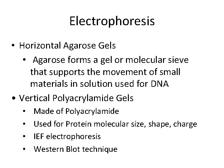 Electrophoresis • Horizontal Agarose Gels • Agarose forms a gel or molecular sieve that