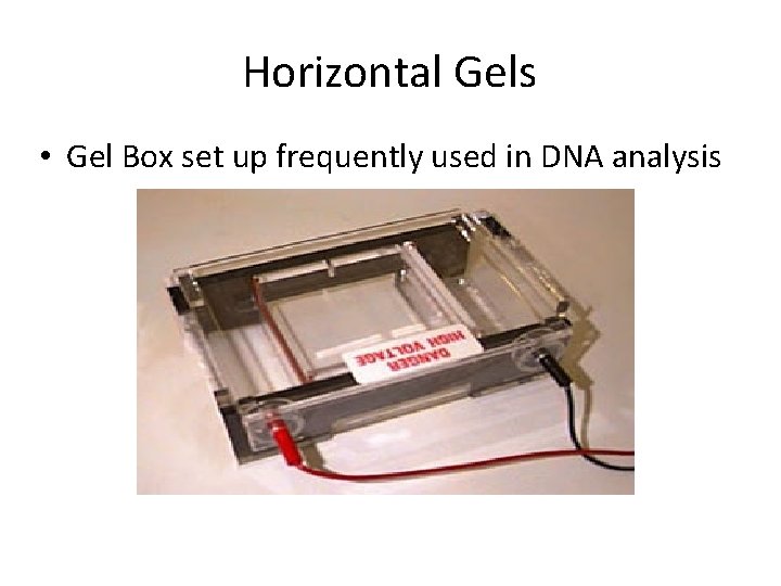 Horizontal Gels • Gel Box set up frequently used in DNA analysis 