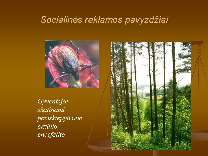 Socialinės reklamos pavyzdžiai Gyventojai skatinami pasiskiepyti nuo erkinio encefalito 