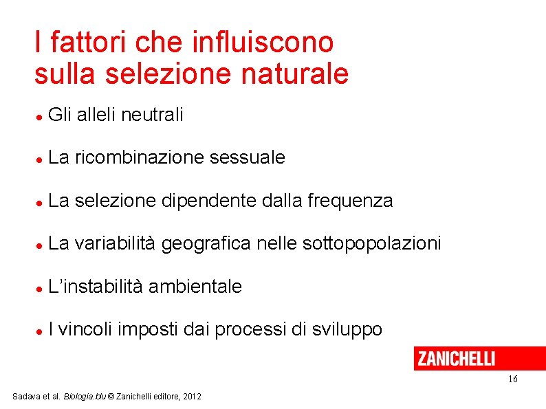 I fattori che influiscono sulla selezione naturale Gli alleli neutrali La ricombinazione sessuale La