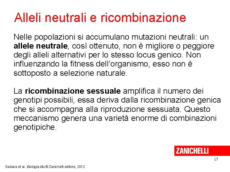 Alleli neutrali e ricombinazione Nelle popolazioni si accumulano mutazioni neutrali: un allele neutrale, così