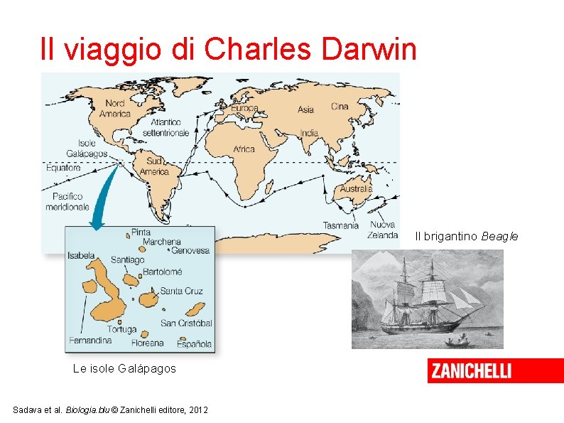 Il viaggio di Charles Darwin Il brigantino Beagle Le isole Galápagos Sadava et al.