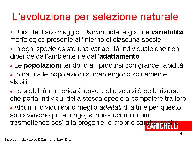 L’evoluzione per selezione naturale • Durante il suo viaggio, Darwin nota la grande variabilità