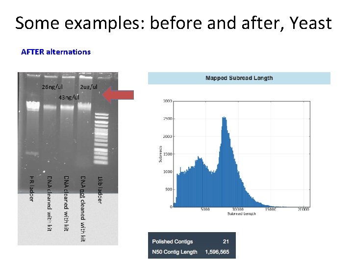 Some examples: before and after, Yeast AFTER alternations 