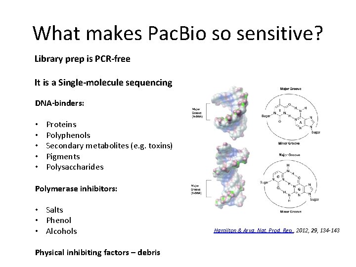 What makes Pac. Bio so sensitive? Library prep is PCR-free It is a Single-molecule