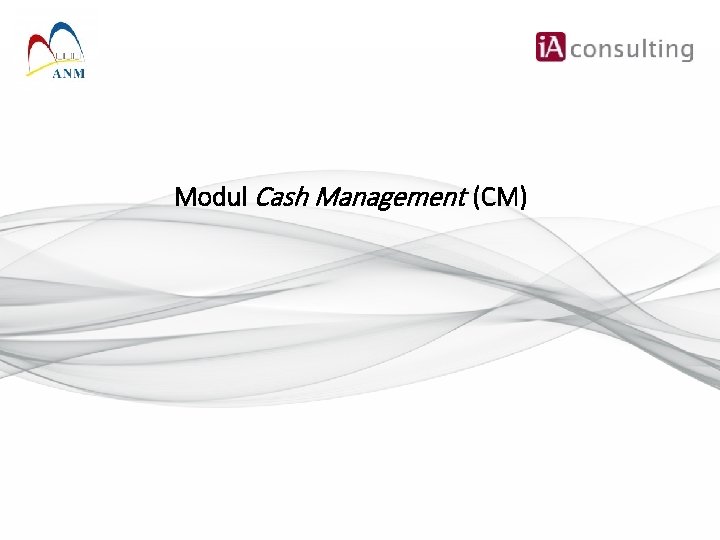 Modul Cash Management (CM) 