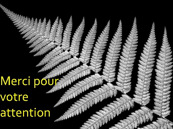 Merci pour votre attention 
