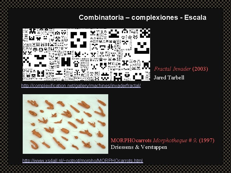 Combinatoria – complexiones - Escala Fractal Invader (2003) Jared Tarbell http: //complexification. net/gallery/machines/invaderfractal/ MORPHOcarrots