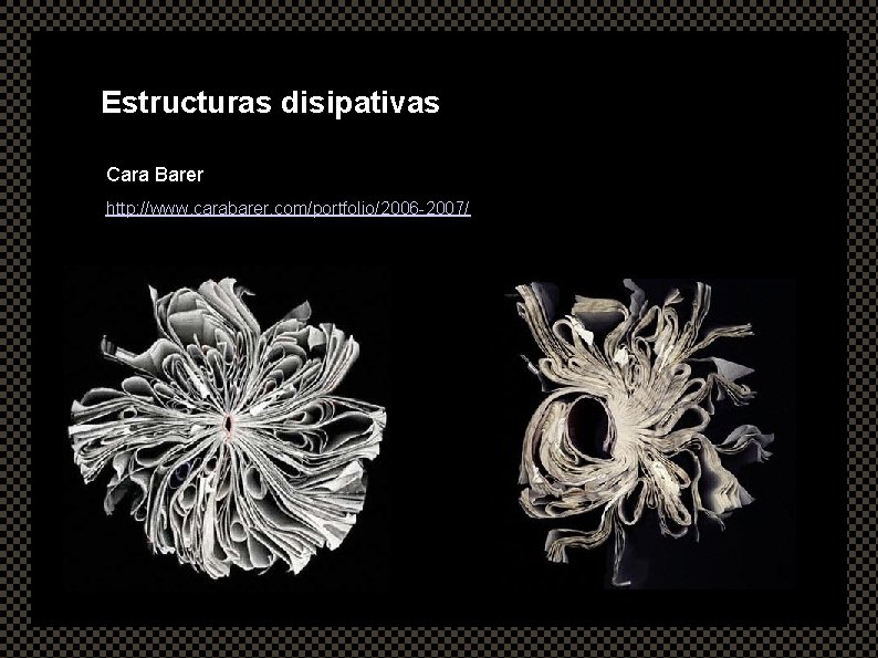 Estructuras disipativas Cara Barer http: //www. carabarer. com/portfolio/2006 -2007/ 