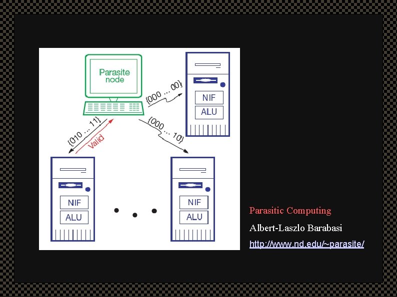 Parasitic Computing Albert-Laszlo Barabasi http: //www. nd. edu/~parasite/ 