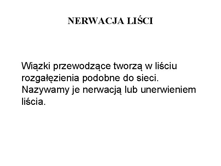 NERWACJA LIŚCI Wiązki przewodzące tworzą w liściu rozgałęzienia podobne do sieci. Nazywamy je nerwacją