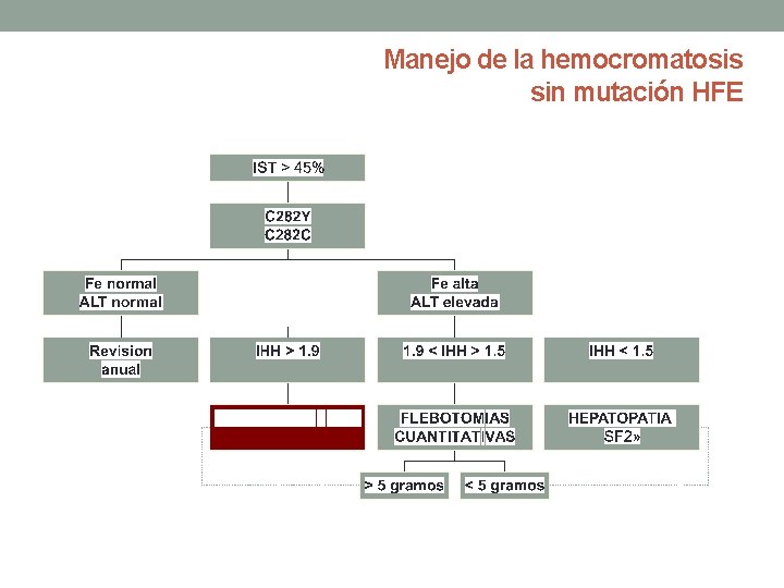 Manejo de la hemocromatosis sin mutación HFE 