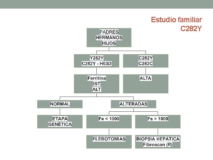 Estudio familiar C 282 Y 