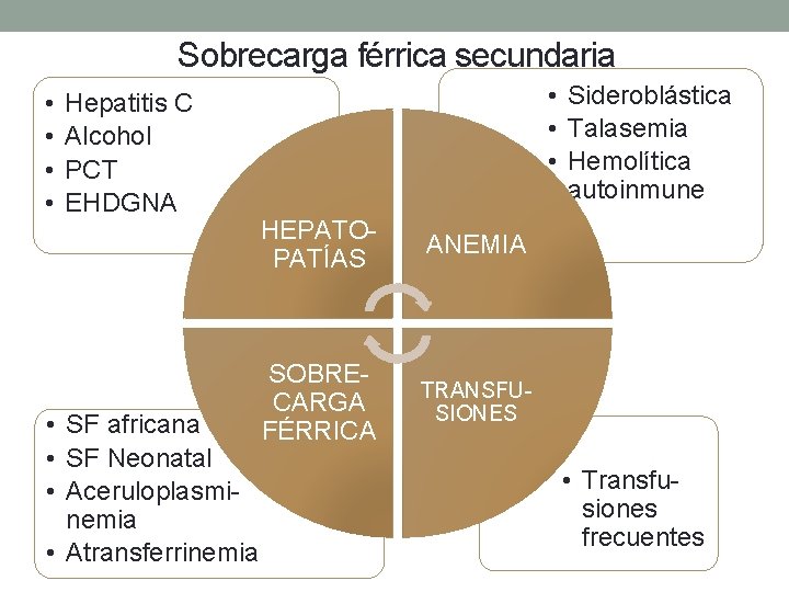 Sobrecarga férrica secundaria • • Hepatitis C Alcohol PCT EHDGNA • SF africana •