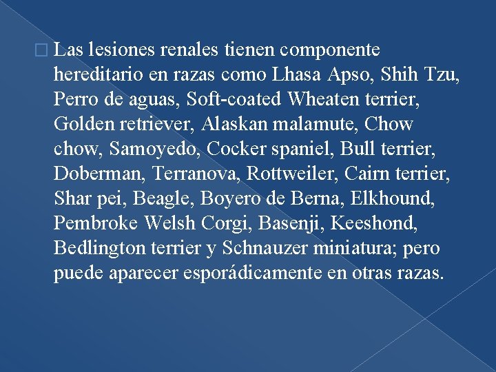 � Las lesiones renales tienen componente hereditario en razas como Lhasa Apso, Shih Tzu,