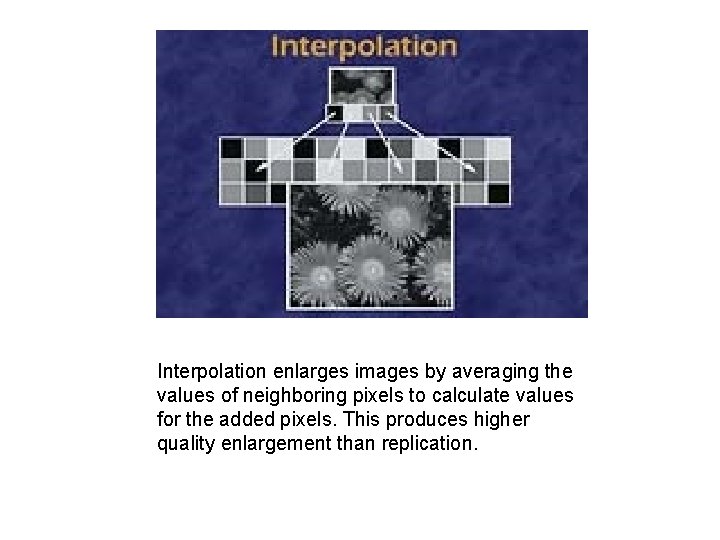 Interpolation enlarges images by averaging the values of neighboring pixels to calculate values for