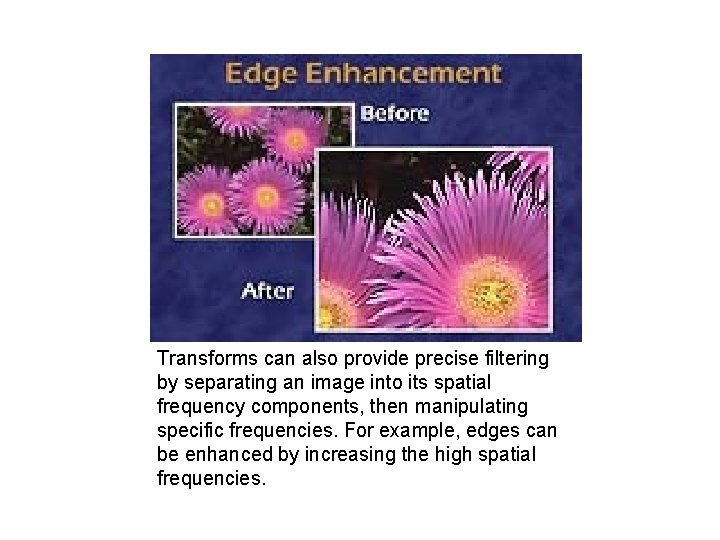 Transforms can also provide precise filtering by separating an image into its spatial frequency