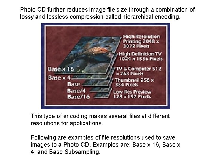 Photo CD further reduces image file size through a combination of lossy and lossless