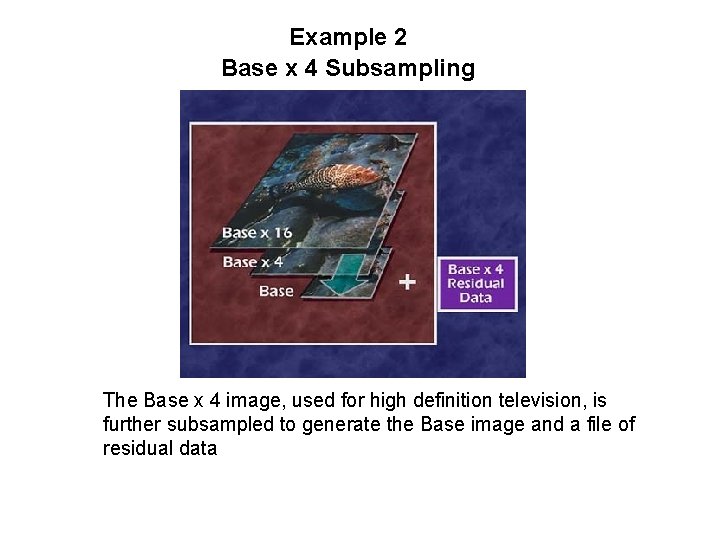Example 2 Base x 4 Subsampling The Base x 4 image, used for high