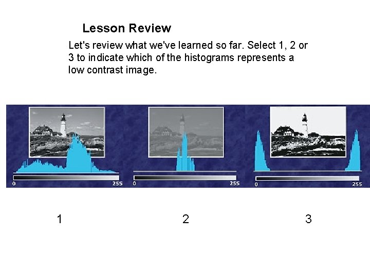 Lesson Review Let's review what we've learned so far. Select 1, 2 or 3