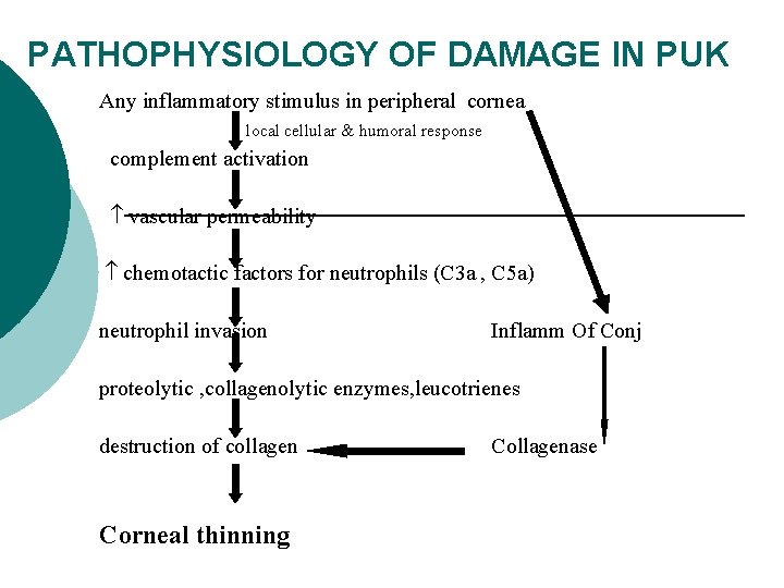 PATHOPHYSIOLOGY OF DAMAGE IN PUK Any inflammatory stimulus in peripheral cornea local cellular &