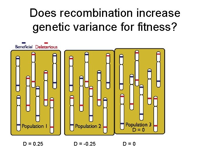 Does recombination increase genetic variance for fitness? D = 0. 25 D = -0.