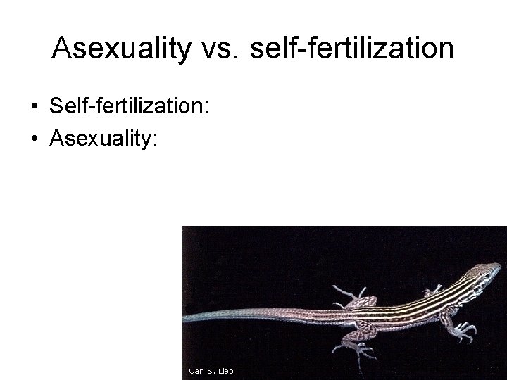 Asexuality vs. self-fertilization • Self-fertilization: • Asexuality: 