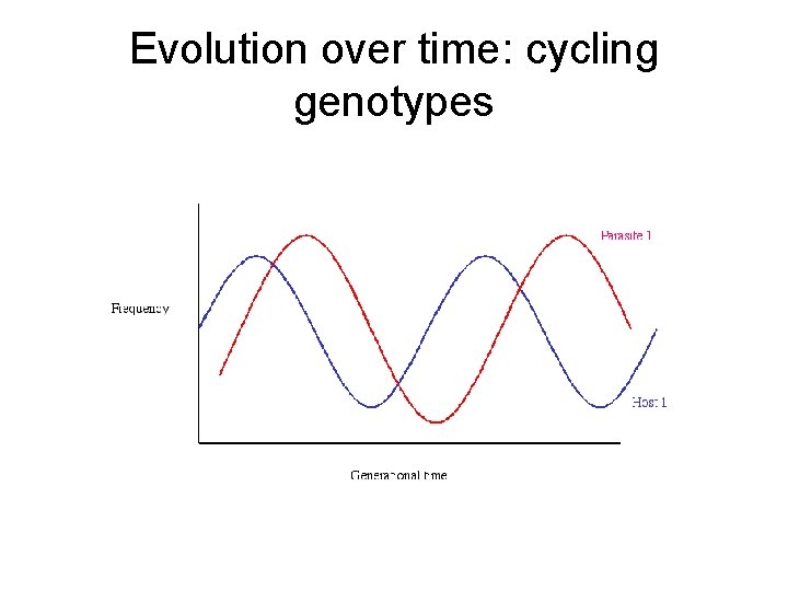 Evolution over time: cycling genotypes 
