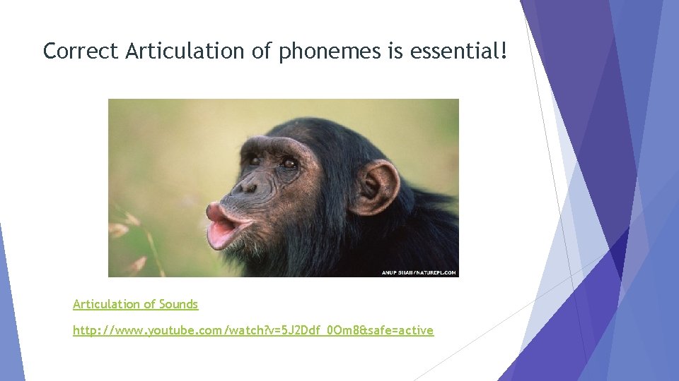 Correct Articulation of phonemes is essential! Articulation of Sounds http: //www. youtube. com/watch? v=5 Correct Articulation of phonemes is essential! Articulation of Sounds http: //www. youtube. com/watch? v=5