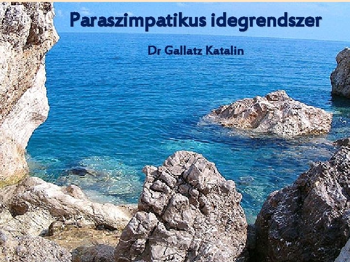 Paraszimpatikus idegrendszer Dr Gallatz Katalin 