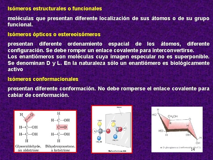 Isómeros estructurales o funcionales moléculas que presentan diferente localización de sus átomos o de
