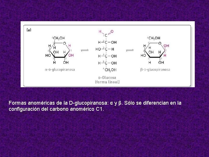 Formas anoméricas de la D-glucopiranosa: α y β. Sólo se diferencian en la configuración