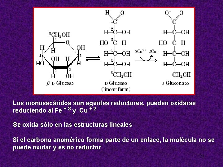 Los monosacáridos son agentes reductores, pueden oxidarse reduciendo al Fe + 3 y Cu
