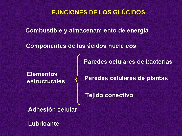 FUNCIONES DE LOS GLÚCIDOS Combustible y almacenamiento de energía Componentes de los ácidos nucleicos