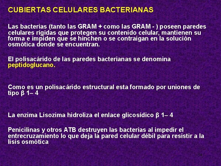 CUBIERTAS CELULARES BACTERIANAS Las bacterias (tanto las GRAM + como las GRAM - )