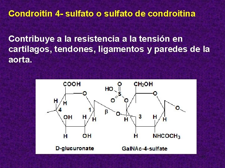 Condroitín 4 - sulfato o sulfato de condroitina Contribuye a la resistencia a la