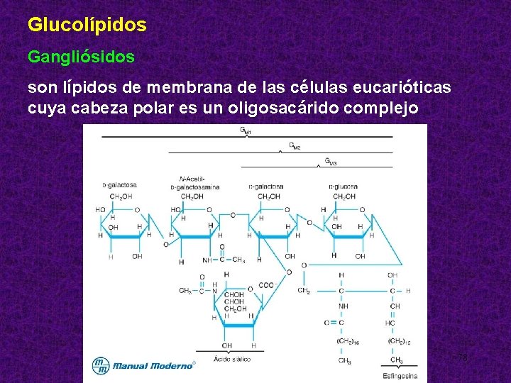 Glucolípidos Gangliósidos son lípidos de membrana de las células eucarióticas cuya cabeza polar es