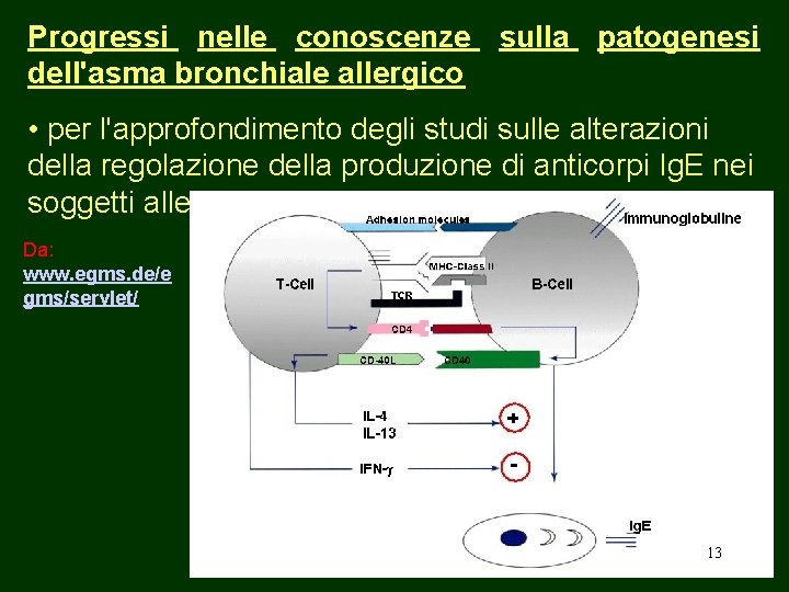 Progressi nelle conoscenze sulla patogenesi dell'asma bronchiale allergico • per l'approfondimento degli studi sulle