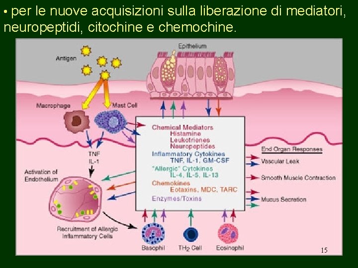 • per le nuove acquisizioni sulla liberazione di mediatori, neuropeptidi, citochine e chemochine.