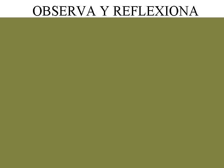 OBSERVA Y REFLEXIONA 
